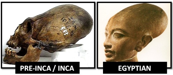 Egyptian-inca-elongated-skulls