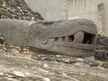 Cabeza de serpiente. Museo del Templo Mayor de Tenochtitlán. México D.F