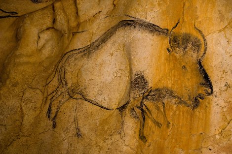 bison-peinture-animee-grotte-chauvet-caverne-pont-arc